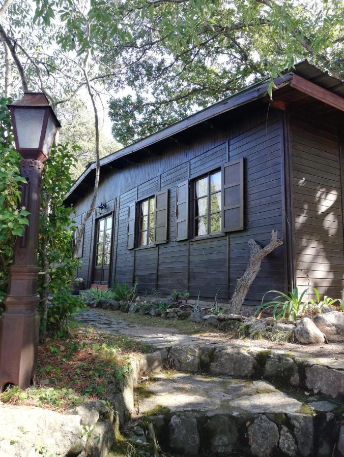 Villa Mas Senyarich Argelès-sur-Mer Exterior foto