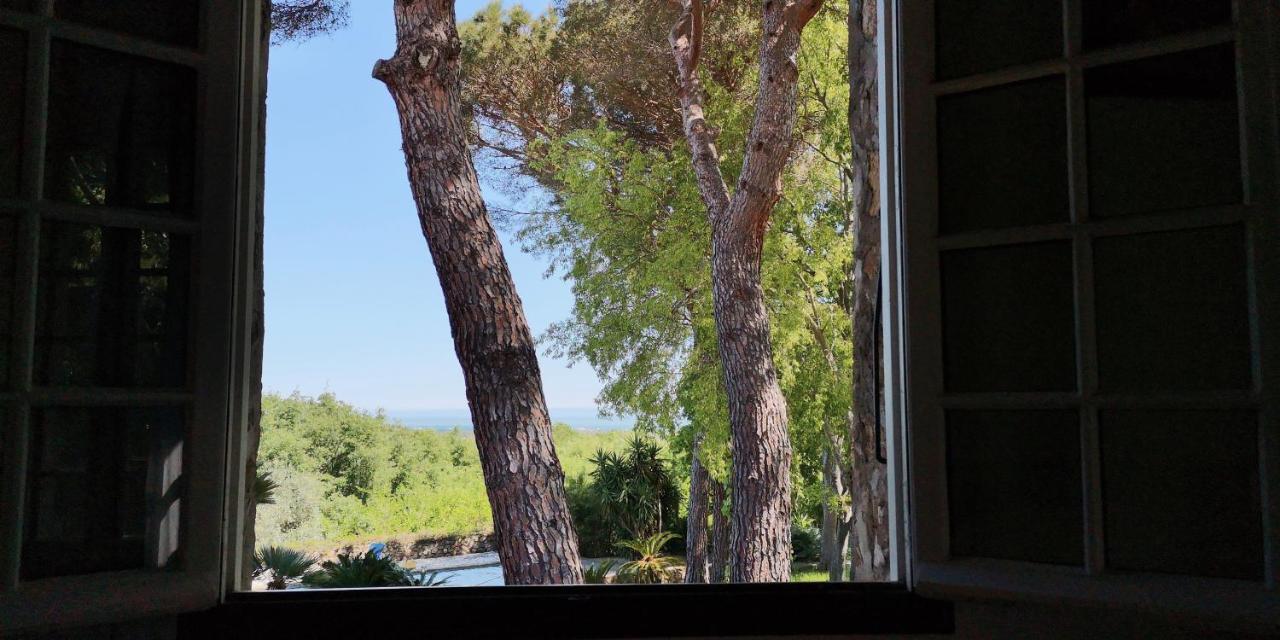 Villa Mas Senyarich Argelès-sur-Mer Exterior foto